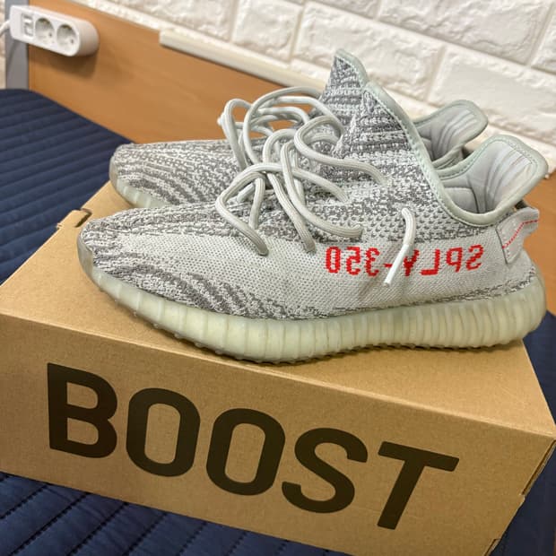 이지부스트 블루틴트 