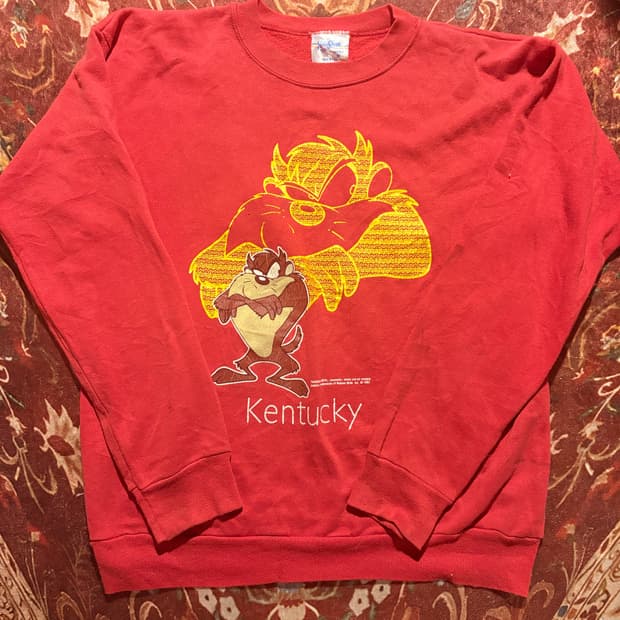 Vela sheen 90's sweatshirt