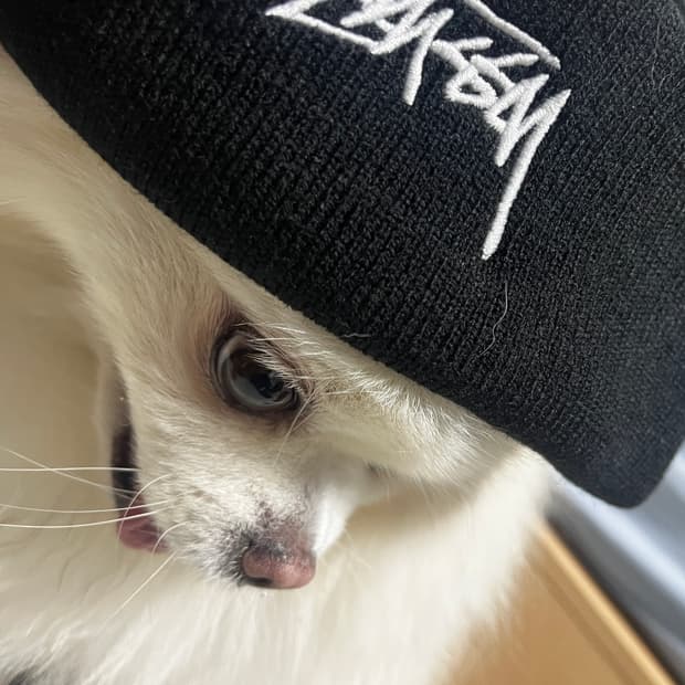 Stussy beanie