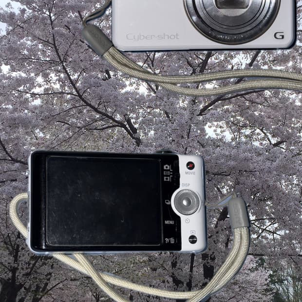 희귀) sony dsc-wx100 화이트
