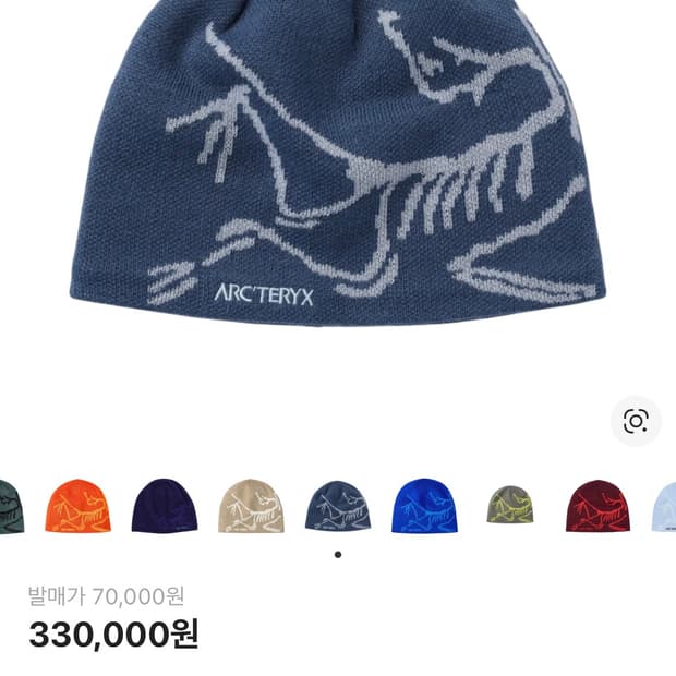 아크테릭스 버드 헤드 (비니)