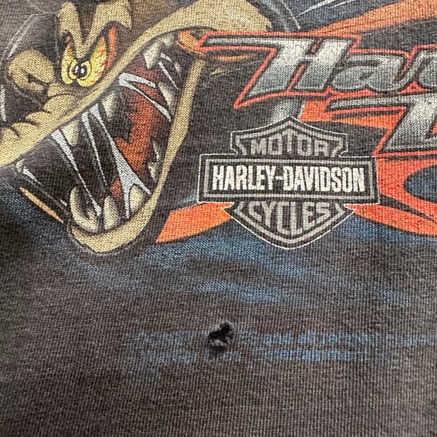 할리데이비슨 x 루니툰즈 '와일드 코요테' 파이어 롱슬리브 - 4XL