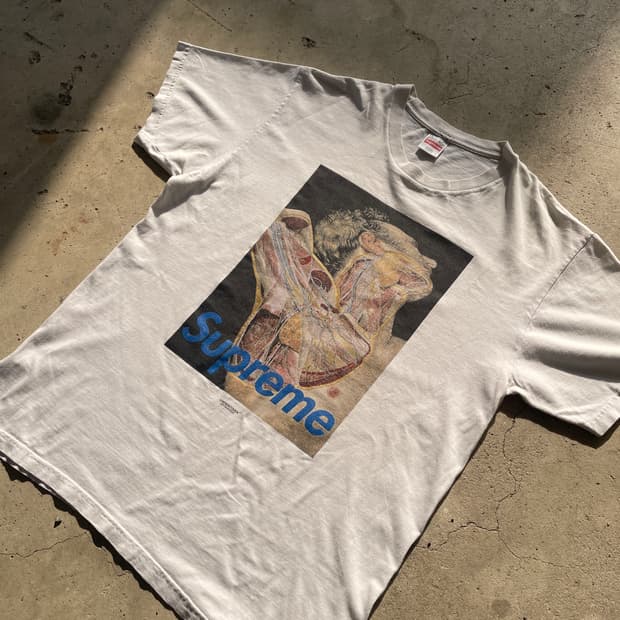 16FW Supreme Undercover Anatomy T