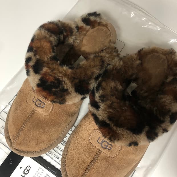 미국 어그 코게트 6사이즈