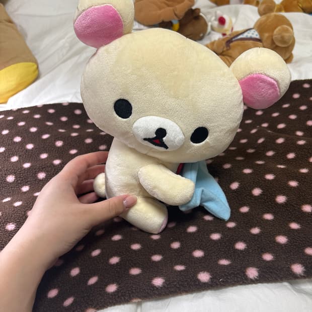 산엑스 이불 덮어주는 코리락쿠마