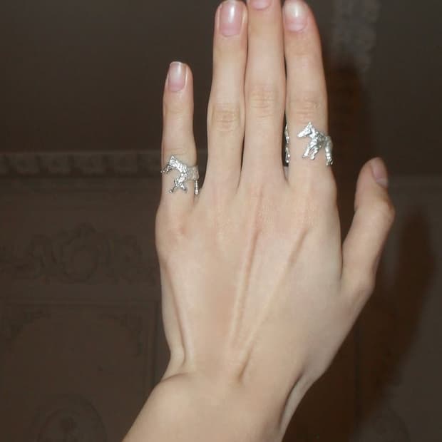 Horse ring Set 2개 scattering 스캐터링 반지