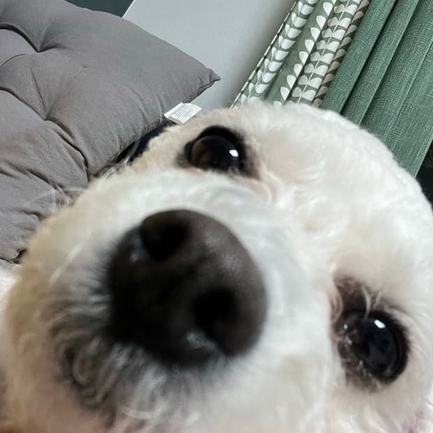 결제창 입니다 