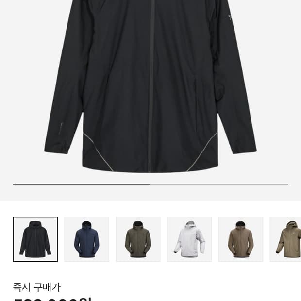 아크테릭스 솔라노 후디, 블랙 L