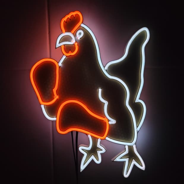 네온사인 닭 치킨 복싱 led 무드등 조명 램프