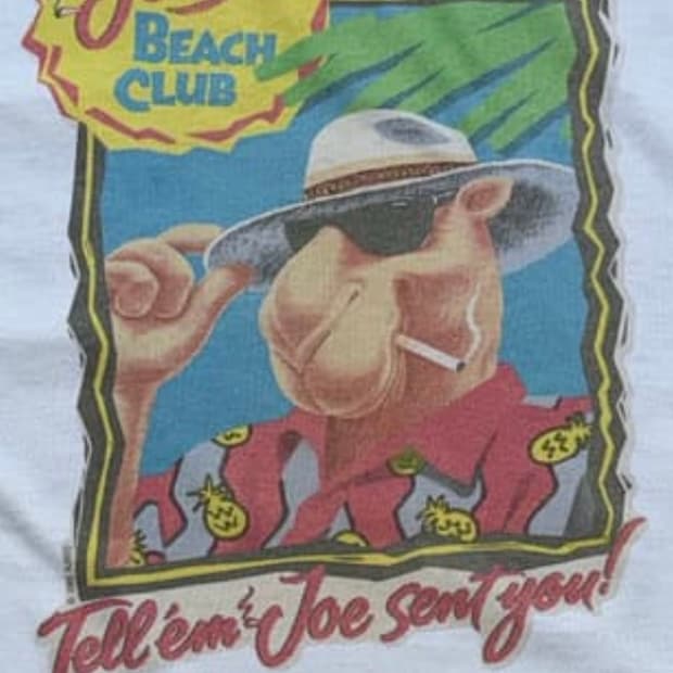 카멜 프로모션 티 구합니다