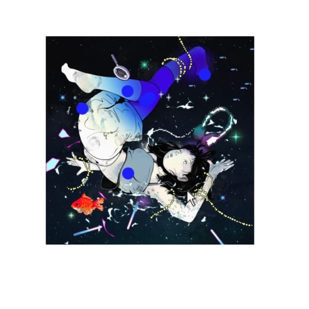 한로로 이상비행 lp 미개봉