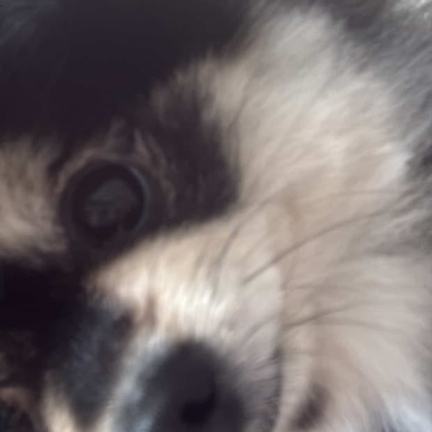 개인결제창_라이브