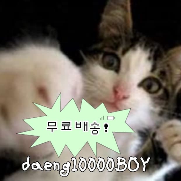 💕무료배송💕