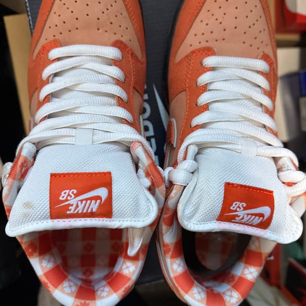 나이키sb x 컨셉트 랍스터 265