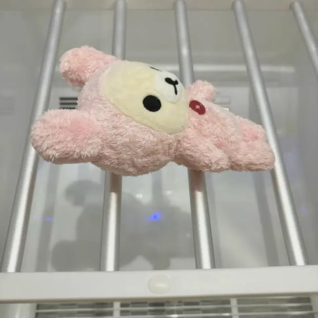 고전 우사기 코리락쿠마