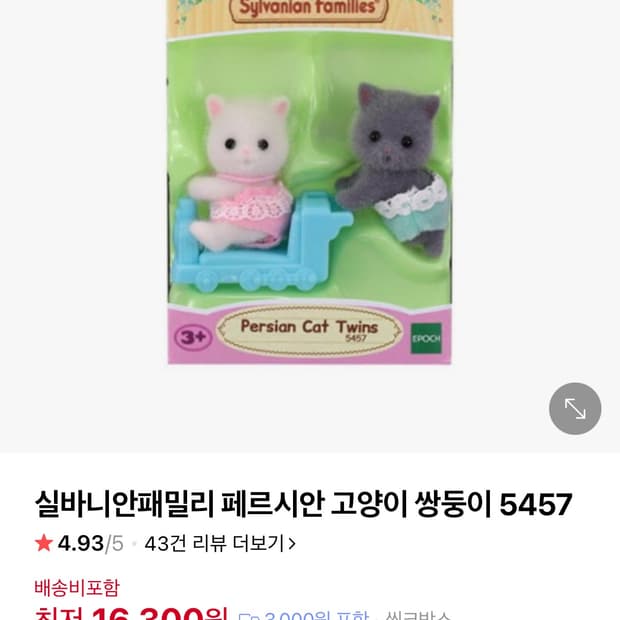 실바니안패밀리 페르시안 고양이 쌍둥이