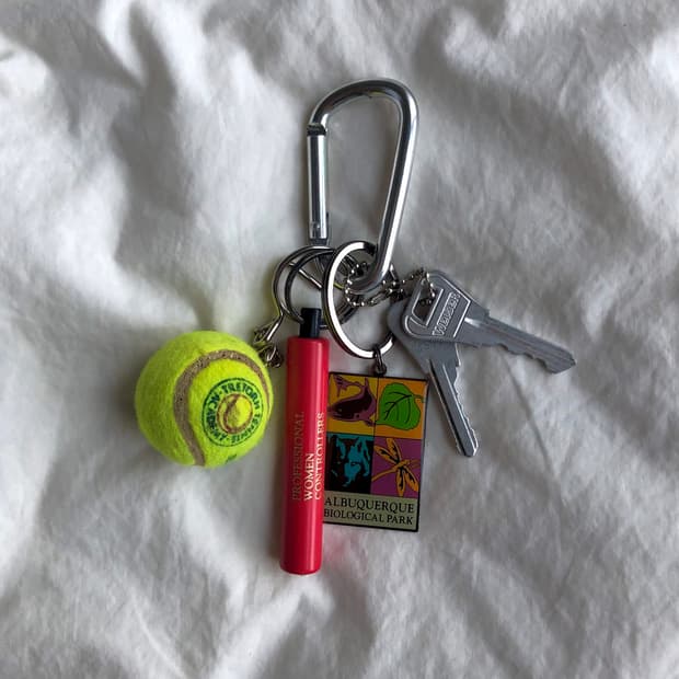 🎁Someone's Keyring #319