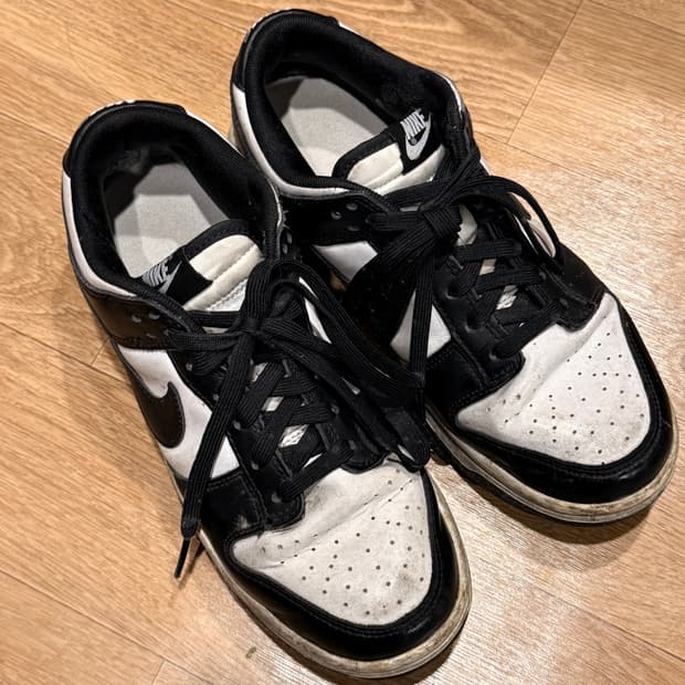 덩크로우 범고래