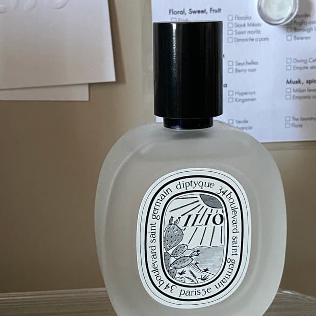 딥디크 일리오 헤어미스트