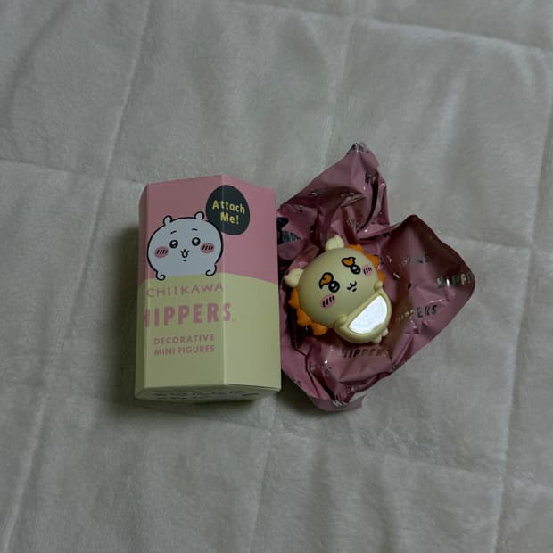 치이카와 히퍼 시사