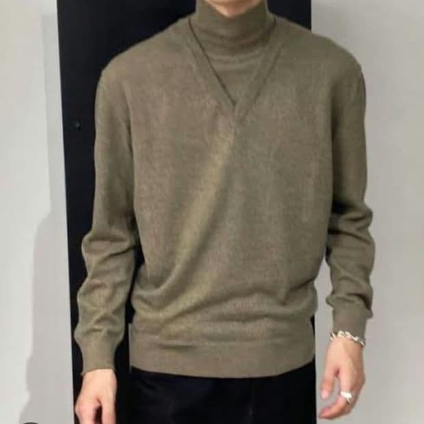 Lemaire turtle neck