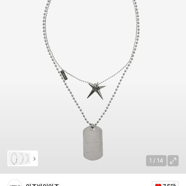 아조바이아조 Dog Tag Layered Necklace