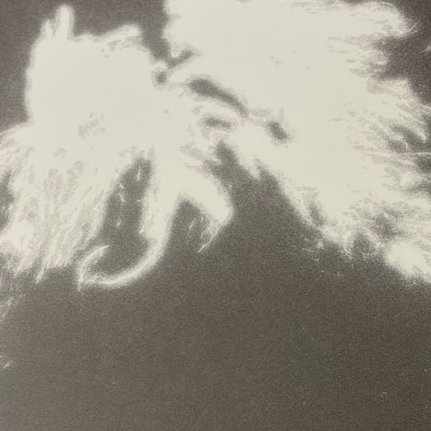 튜스데이비치클럽 color Lp 미개봉 판매