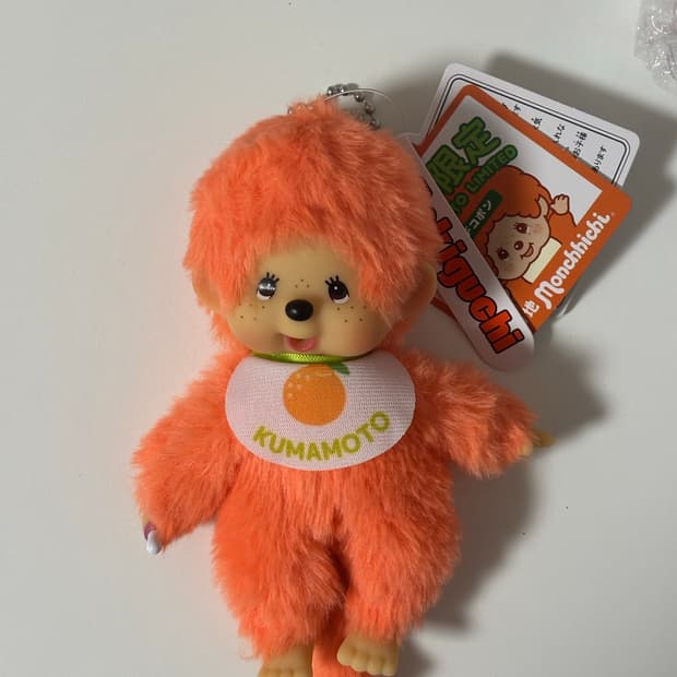 지역한정 몬치치 오렌지