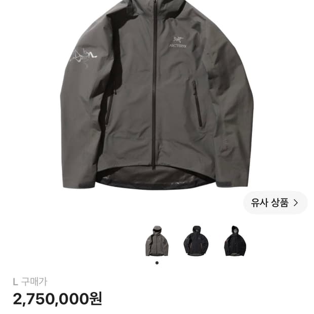 아크테릭스 빔즈 제타 L