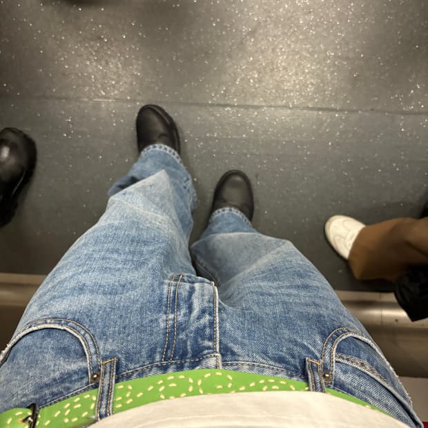 스투시 자수 S 벨트 제이드 (L,XL)