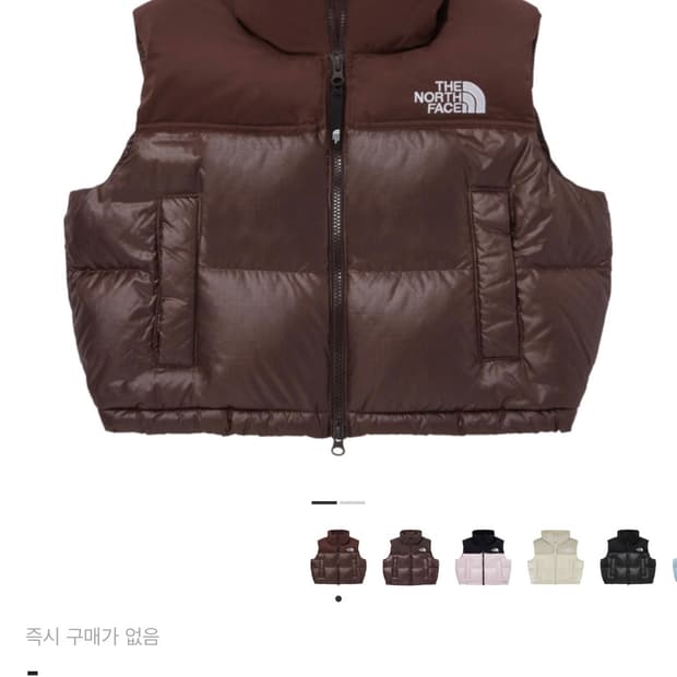 노스페이스 화이트 라벨 노벨티 눕시 다운 베스트 브라운(W)