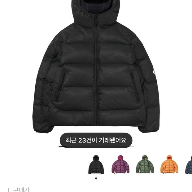 팔라스 퍼텍스 퀀텀 RS 푸파 블랙 - 25FW(L)