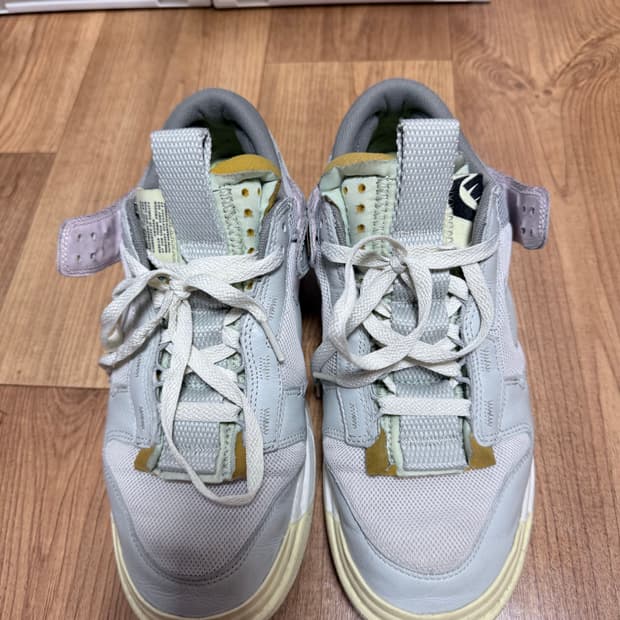 나이키 덩크 신발