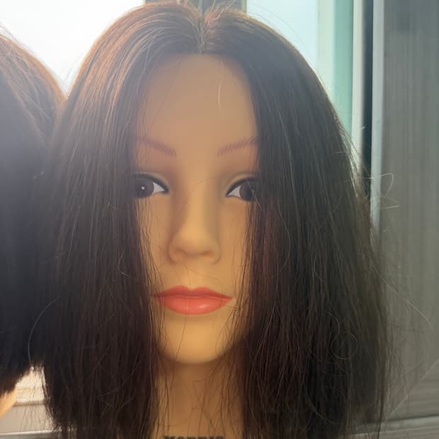 모리스, 비너스, 프로아 연습용통가발