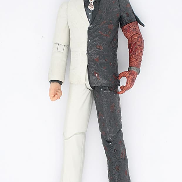 아캄시티 투페이스,피그프로세서 일괄