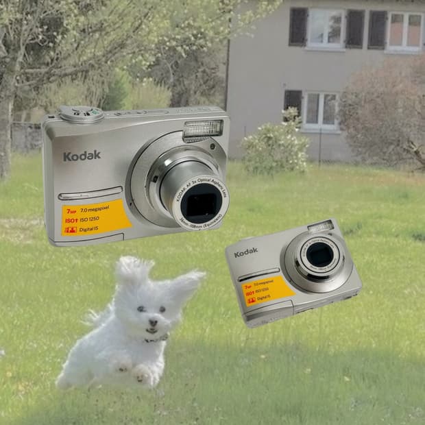 카리나디카!) 코닥 이지쉐어 c713 Easyshare 빈티지 디카