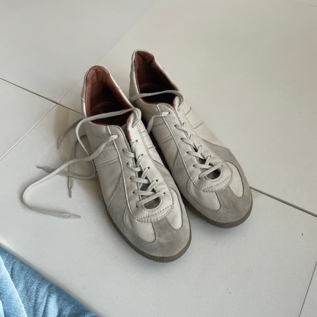 리오파 독일군 파나 285