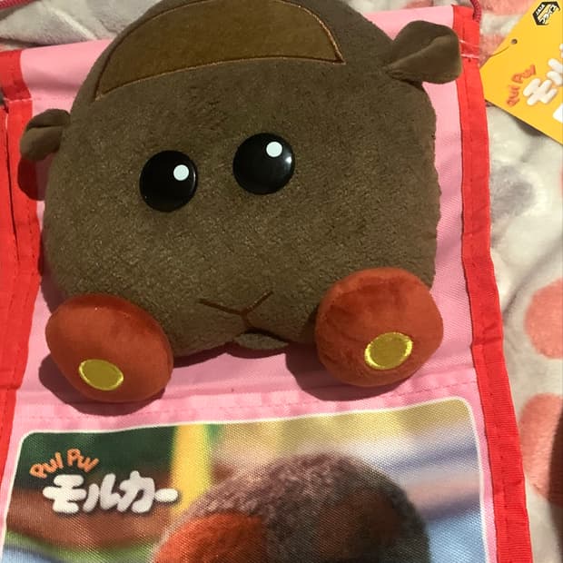 뿌이뿌이 모루카 월포켓 새상품