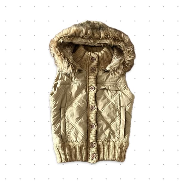 hooded vest