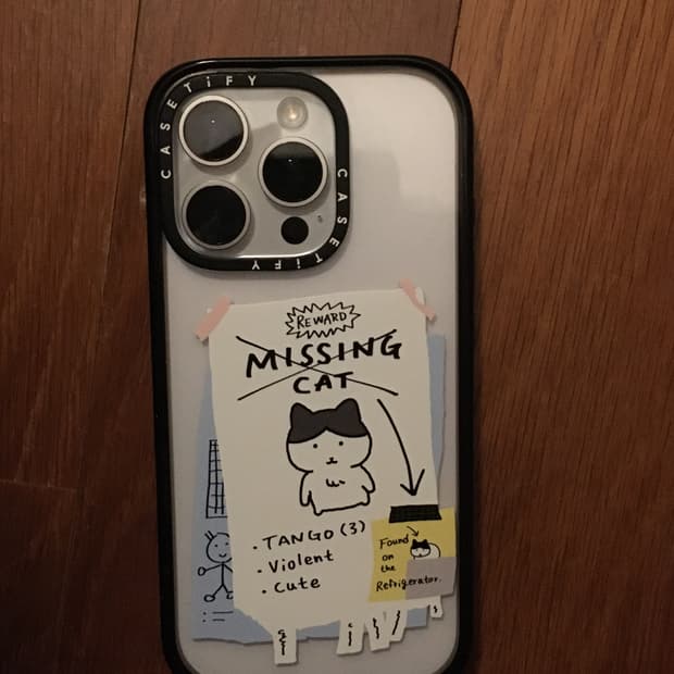 케이스티파이 16프로