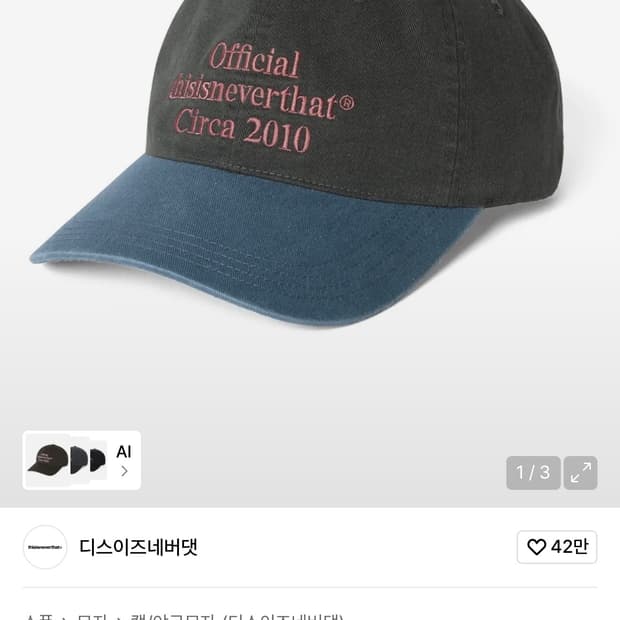 디스이즈네버댓 모자 판매합니다