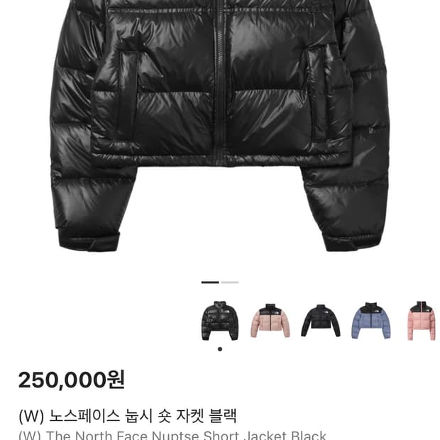 노스페이스 눕시 유광 숏패딩