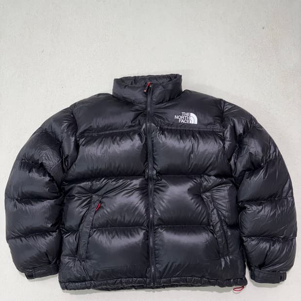 노스페이스 써밋 퍼텍스 눕시 패딩 850LTD 한정판 105-110