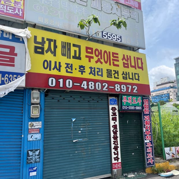 렉토 헨리넥 라지사이즈 구매합니다