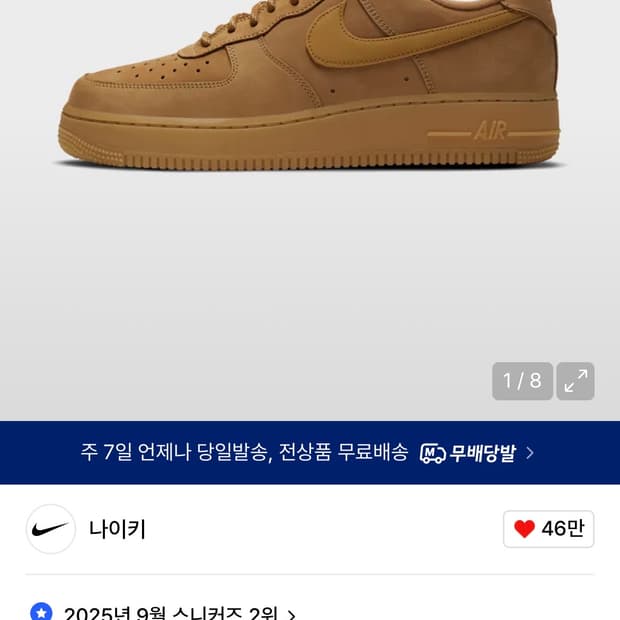 나이키 된장포스 250