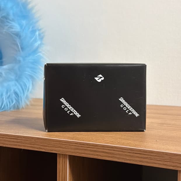 브릿지스톤 볼빅 타이틀리스트 골프공