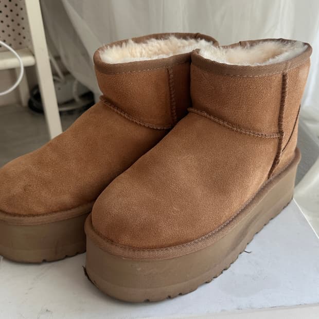 호주어그 볼드 5cm 230