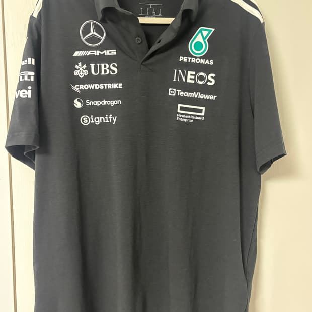 F1 메르세데스 폴로티