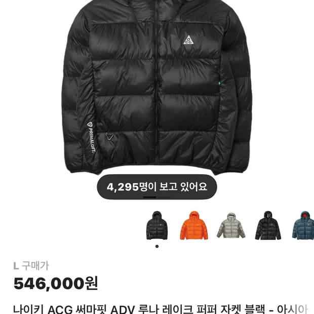 나이키 루나 레이크 패딩