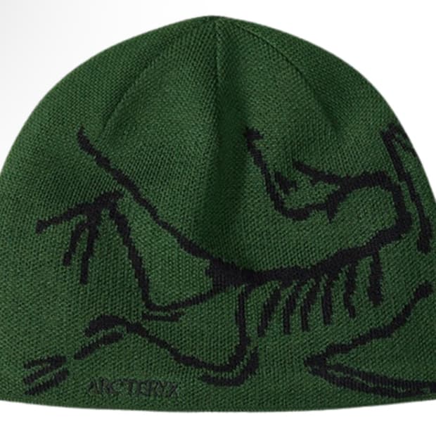 아크테릭스 버드헤드 토크 에덴 비니